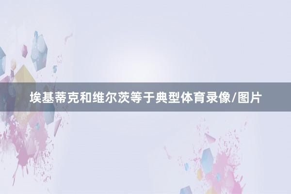 埃基蒂克和维尔茨等于典型体育录像/图片
