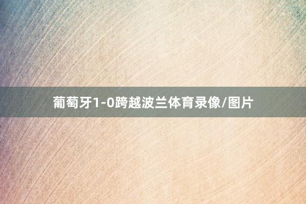 葡萄牙1-0跨越波兰体育录像/图片