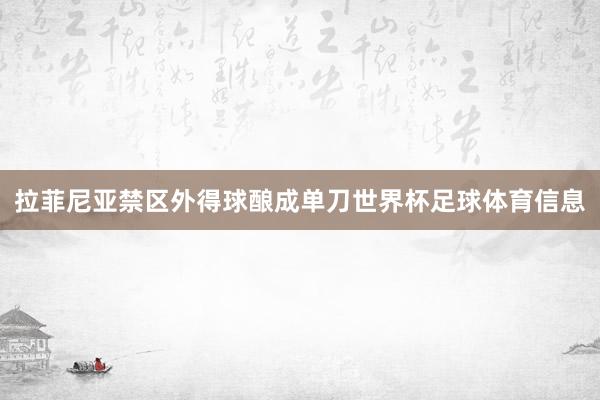 拉菲尼亚禁区外得球酿成单刀世界杯足球体育信息