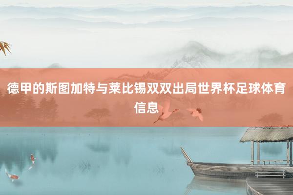 德甲的斯图加特与莱比锡双双出局世界杯足球体育信息