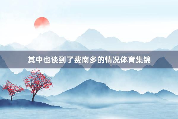 其中也谈到了费南多的情况体育集锦
