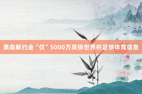 黑森解约金“仅”5000万英镑世界杯足球体育信息