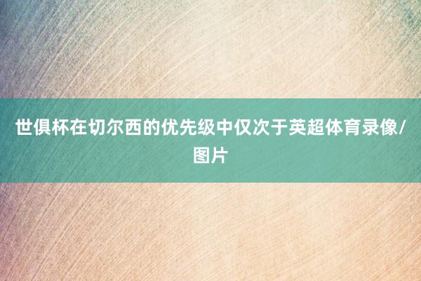 世俱杯在切尔西的优先级中仅次于英超体育录像/图片