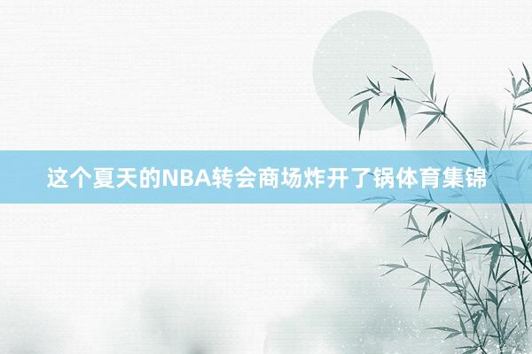 这个夏天的NBA转会商场炸开了锅体育集锦