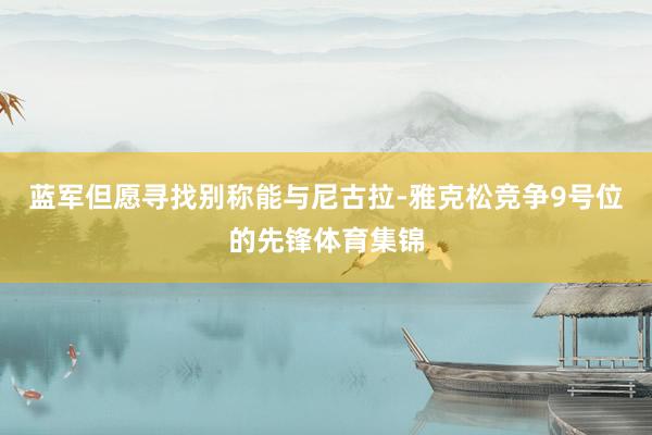 蓝军但愿寻找别称能与尼古拉-雅克松竞争9号位的先锋体育集锦