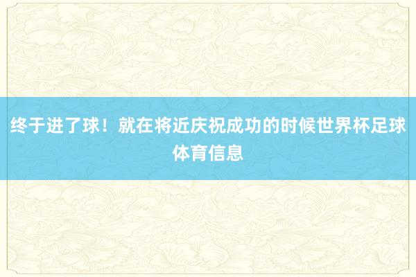 终于进了球!就在将近庆祝成功的时候世界杯足球体育信息