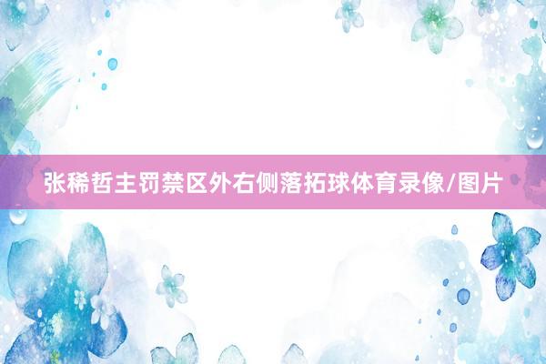 张稀哲主罚禁区外右侧落拓球体育录像/图片