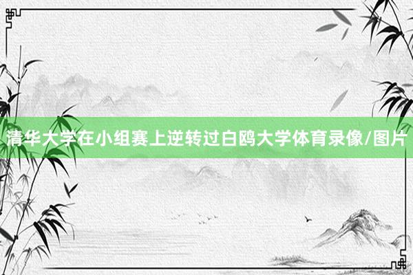 清华大学在小组赛上逆转过白鸥大学体育录像/图片