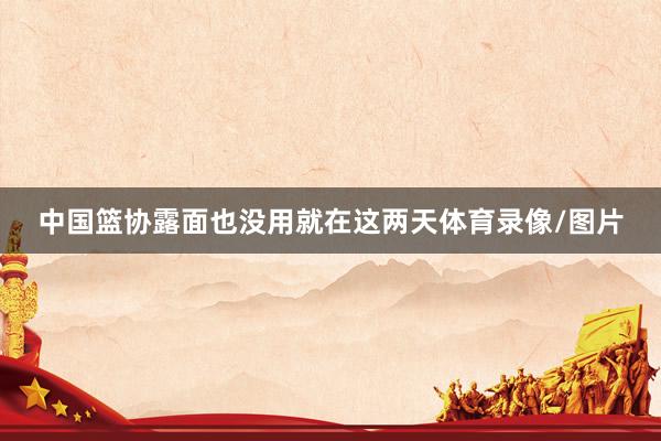 中国篮协露面也没用就在这两天体育录像/图片