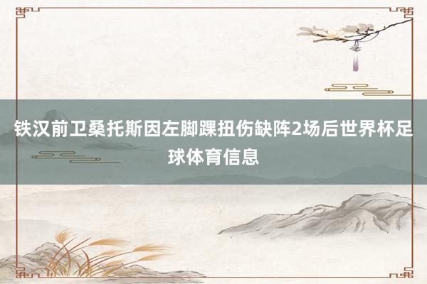 铁汉前卫桑托斯因左脚踝扭伤缺阵2场后世界杯足球体育信息