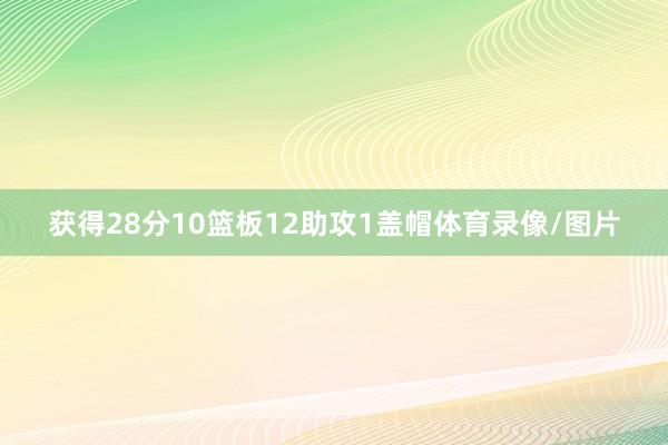 获得28分10篮板12助攻1盖帽体育录像/图片