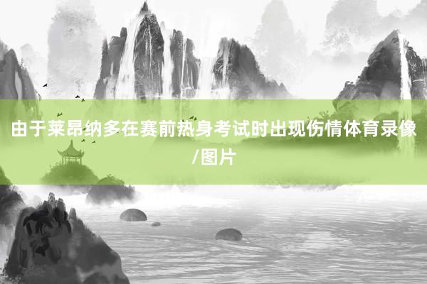 由于莱昂纳多在赛前热身考试时出现伤情体育录像/图片