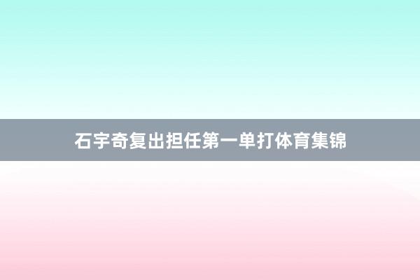 石宇奇复出担任第一单打体育集锦
