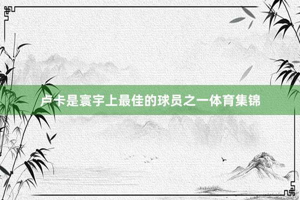 卢卡是寰宇上最佳的球员之一体育集锦