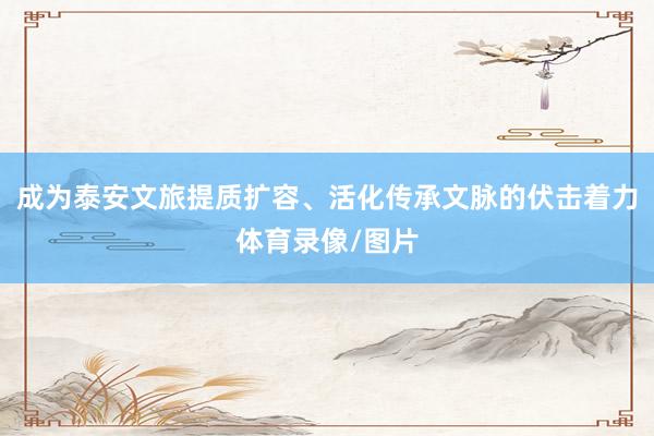 成为泰安文旅提质扩容、活化传承文脉的伏击着力体育录像/图片