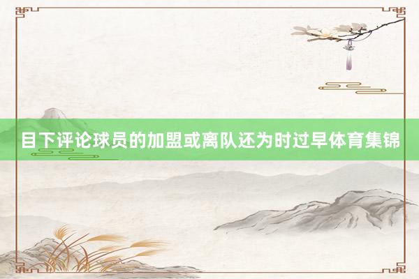目下评论球员的加盟或离队还为时过早体育集锦