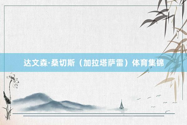 达文森·桑切斯(加拉塔萨雷)体育集锦